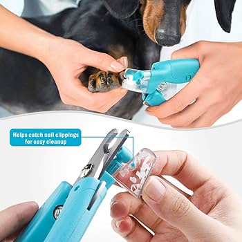 Safe LED Pet Nail Clippers – Stress-Free Grooming for Pets