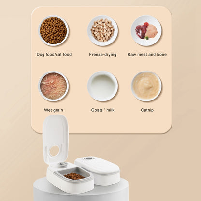 Smart Food Dispenser for Pets – Stress-Free Feeding Every Day